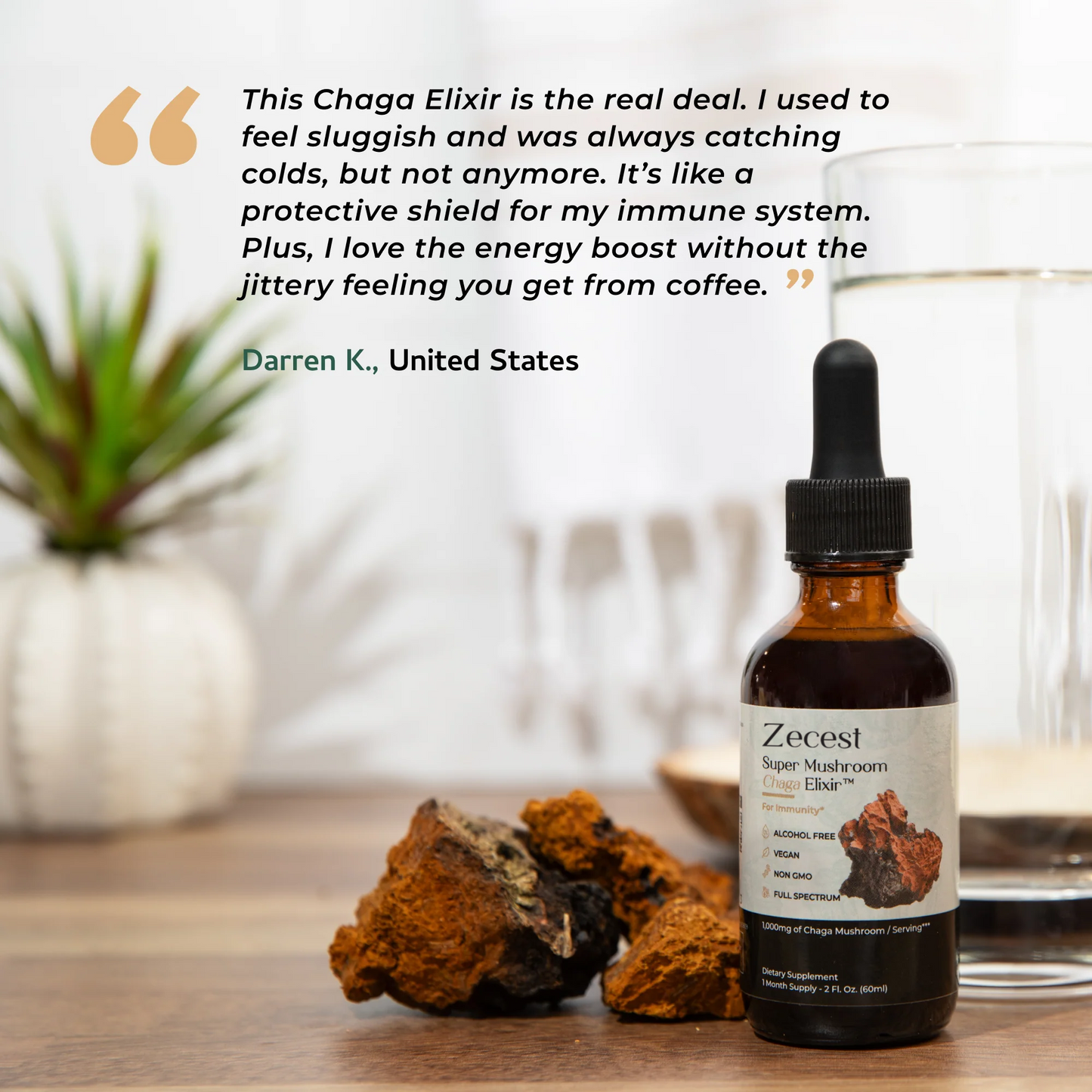 Super Mushroom Chaga Elixir™