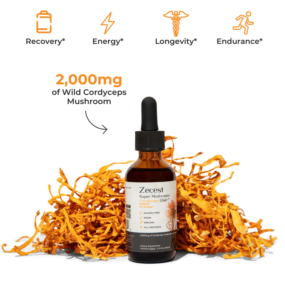 Zecest® Super Mushroom Cordyceps Elixir™
